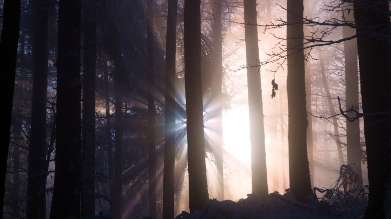 Um 950 m, "Do kummt die Sun..."