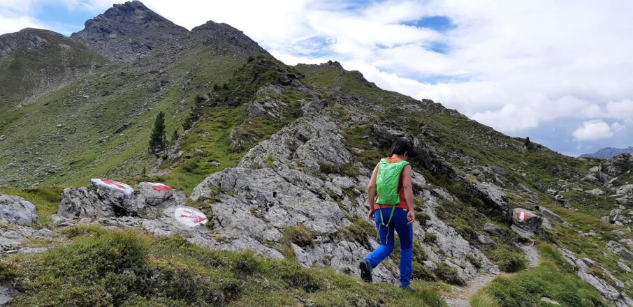 Überschwänglich markierte Weggabelung. Links führt der Steig ins Wattental, wir bleiben rechts.