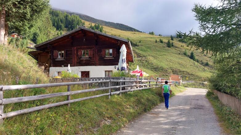Die Peeralm ist nach einer knappen halben Stunde erreicht (1,5 km, Forststraße).