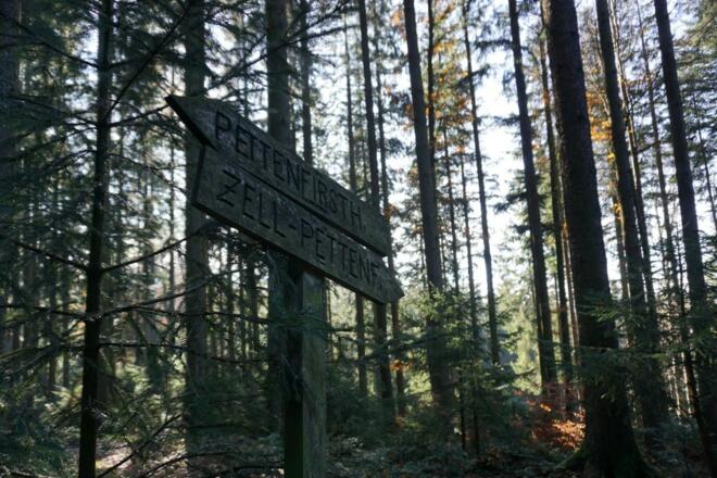 Wegweiser