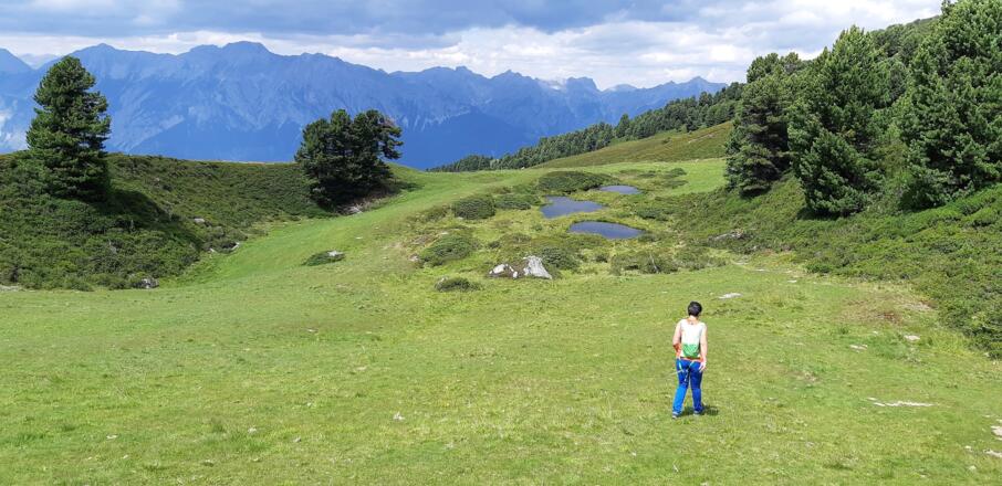 ... den landschaftlichen Reiz dieses Weges.