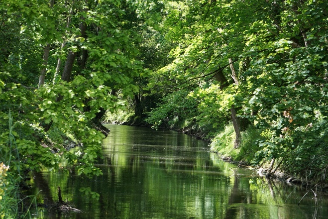 Wandern entlang der Elsava