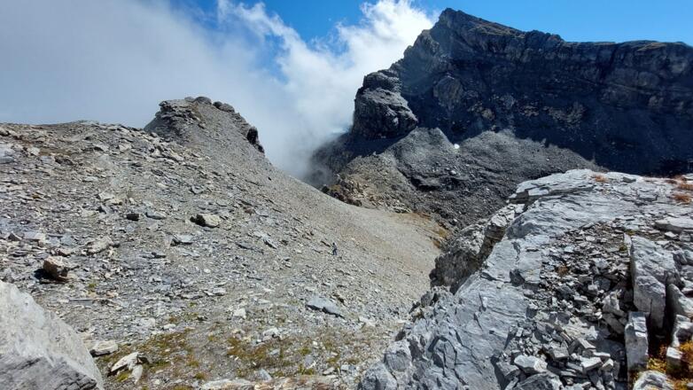 Aufstieg über die mächtige Südostflanke der Tarntaler Köpfe. Unten die Tarntaler Scharte, hinten die Lizumer Sonnenspitze.