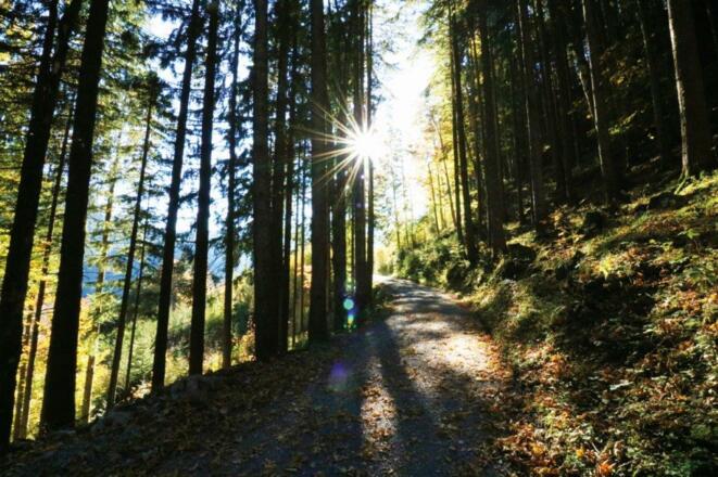 Karren - Staufenrunde