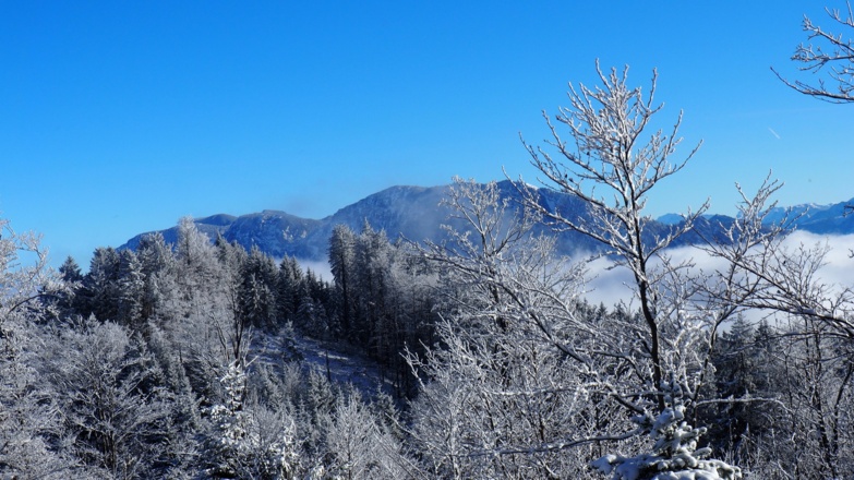 Übergang zum Gr.Hollerberg 1090m