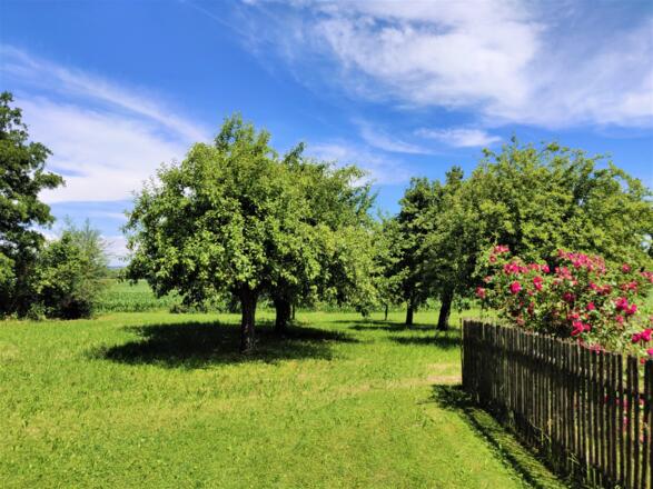 Obstgarten