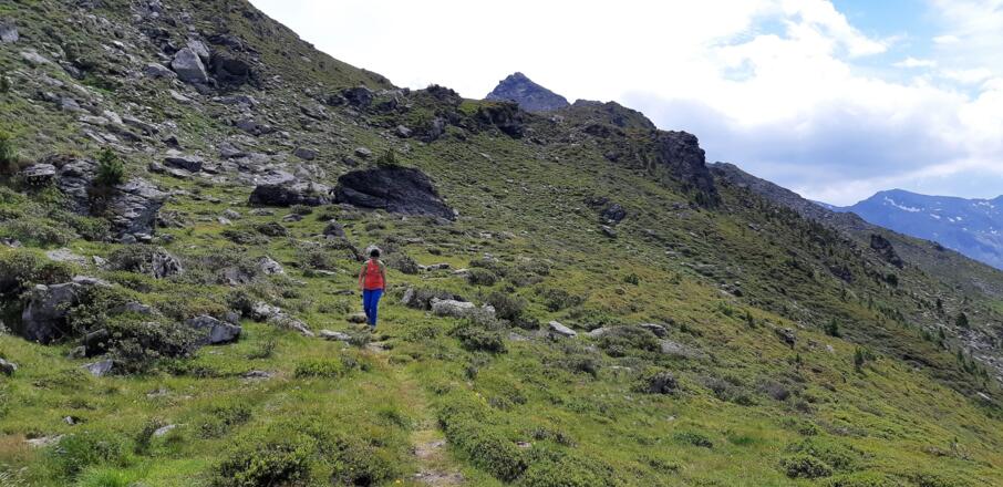 Auf der Westseite des Kammes führt der weg zurück. Hinten der Haneburger.