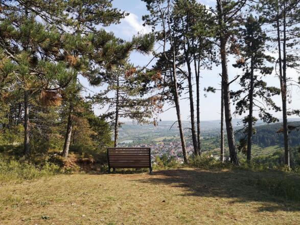 Wellenliegebank mit Blick ins Maintal