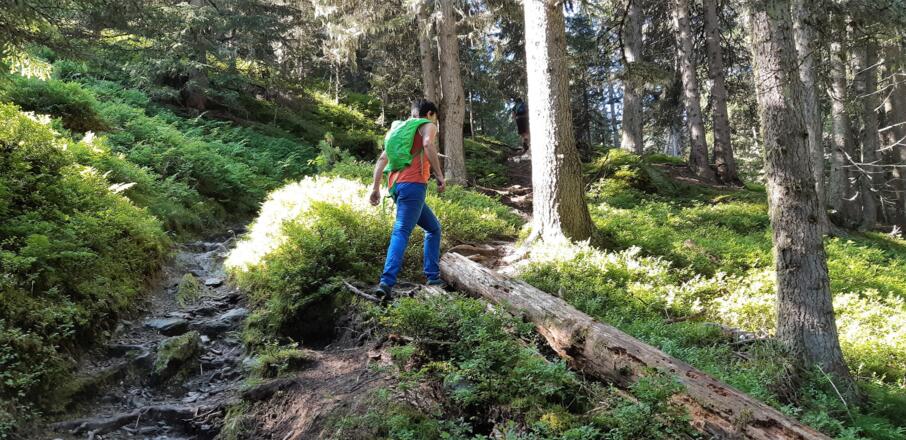 Markierungen findet man nicht, trotzdem macht die Orientierung keine Schwierigkeiten..