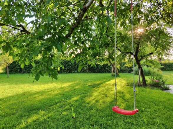 Schaukel in unserem Garten