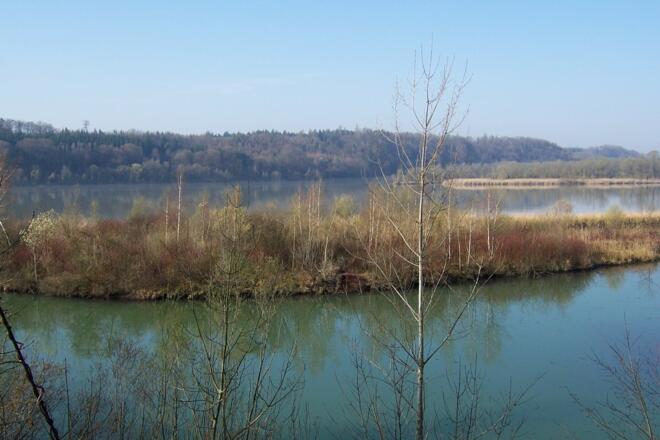 Blick von Bergham auf die Salzachmündung