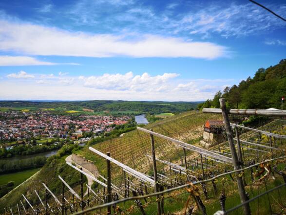 Winzerhütte am Benediktusberg