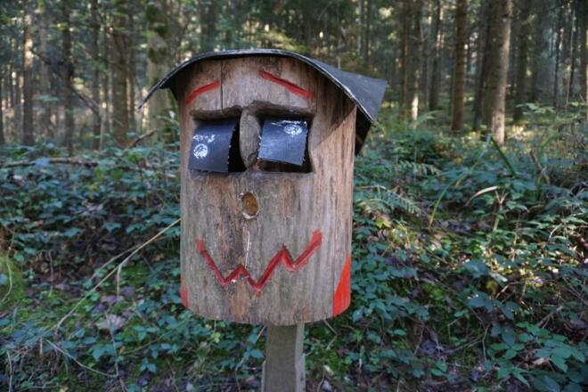 Baumstammgesicht
