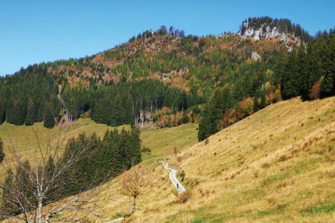 Karren - Staufenspitze