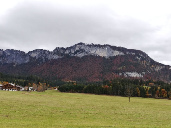 Ursulakreuz mit Niederkaiserkamm