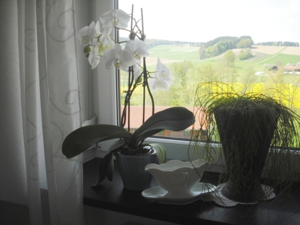 Blick vom Fenster auf das weite Land