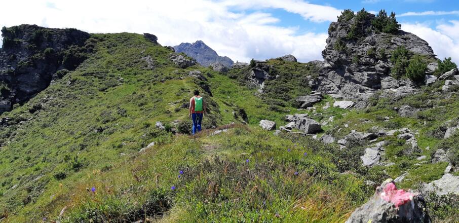 Üppige Bergblumenwiesen und immer wieder ...