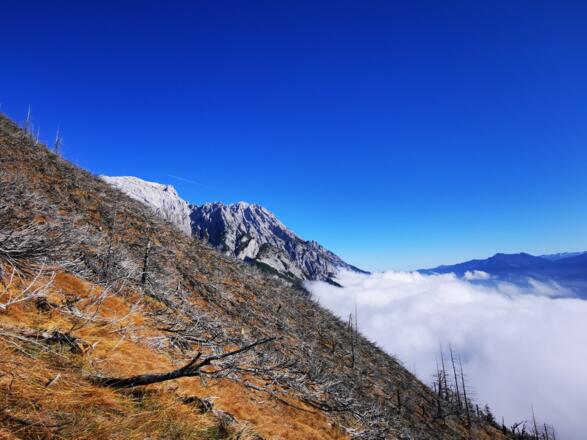 Blick auf den Bettelwurf