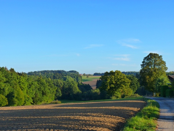 Ausblick bei Zaun