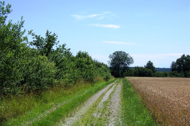 Wandern bei Seibersdorf