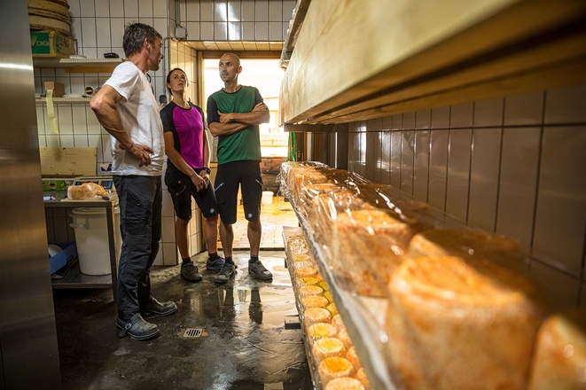 Herstellung Sura Kees