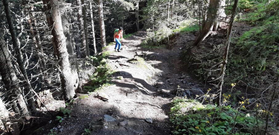 ... teilweise recht steil aber ohne Gefahren.