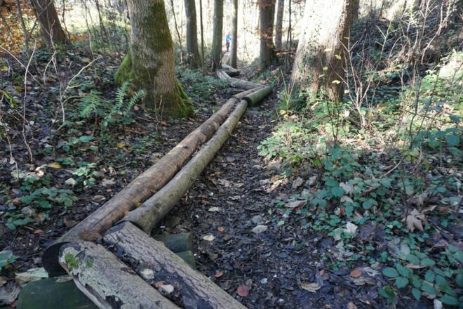 Dschungelweg