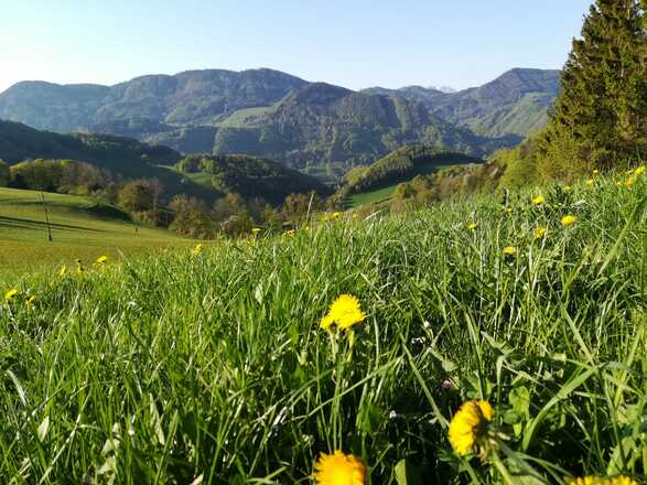 Ausblick in die Nationalparkregion