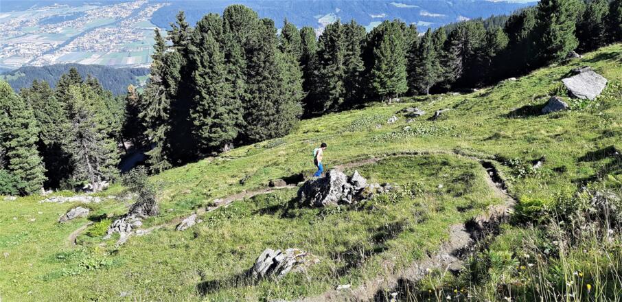 Auf ca. 1800 m verlassen wir den Wald.