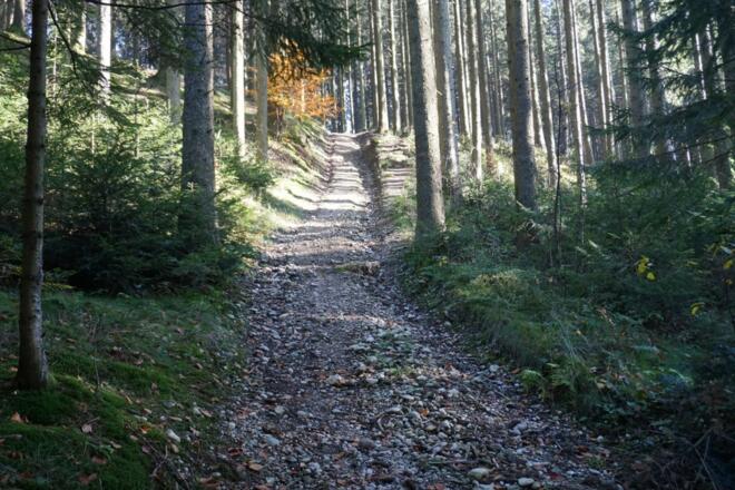 Steiler Abstieg nach der Hütte