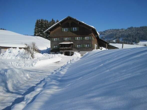 Winter