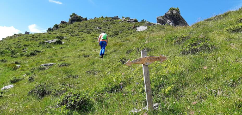 Die Abzweigung zum Felsgipfel der Wattenspitze.