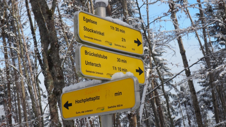 Abstieg zur Forststraße