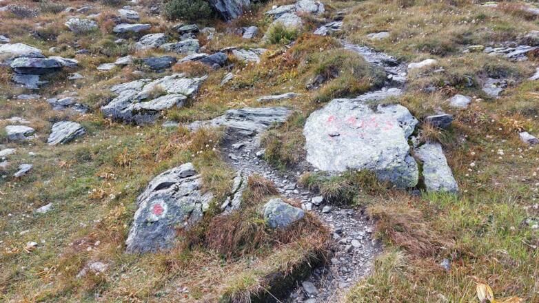 Die Abzweigung am Mölsjoch zurück ins Navistal ist kaum zu sehen. Auch der Steig ist zu Beginn nun schwach ausgeprägt. Queren nach links ist in jedem Fall richtig.