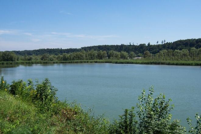Ausblick auf den Inn bei Bergham