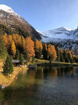 Grieralm