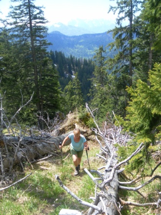 Steiglein zum Weißgrabenkopf