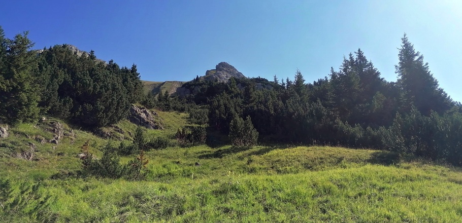Den Gipfel im Blick hinauf