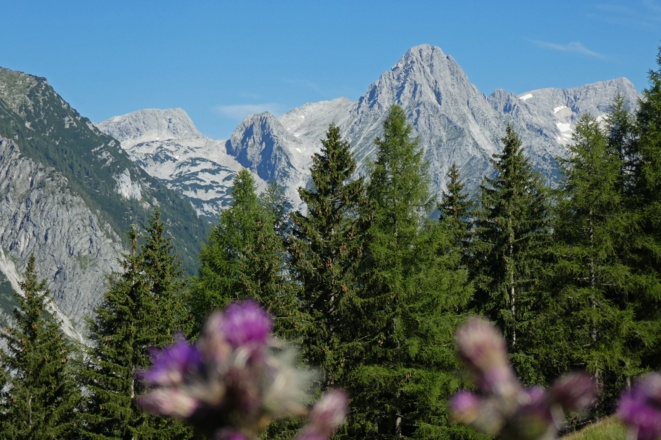 Die Spitzmauer von der Hochsteinalm aus gesehen