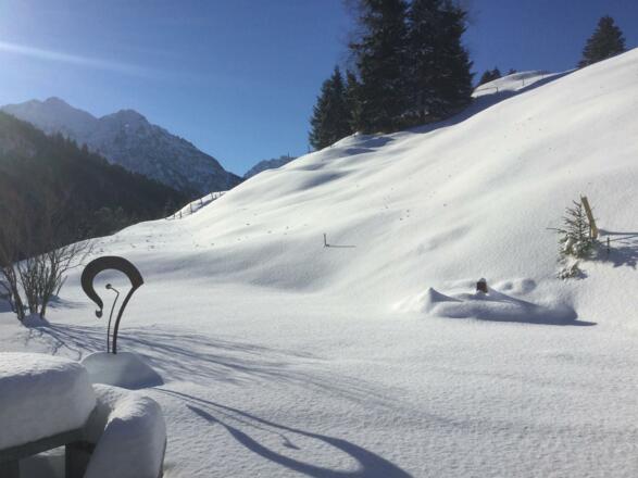 Traumhafter Wintertag