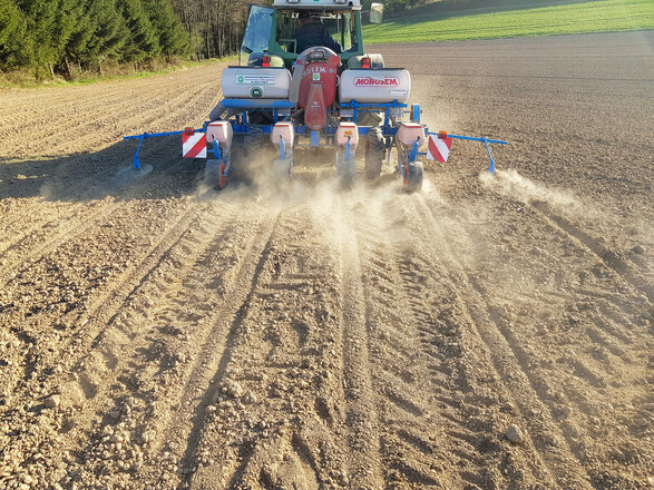 20190420_183728_bearb