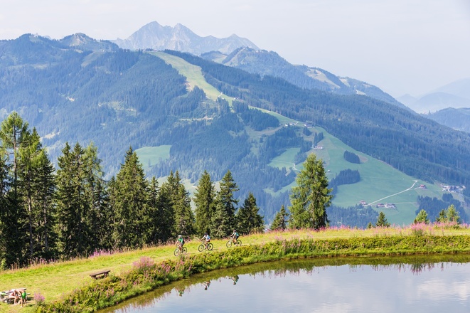 MTB Daarmoossee