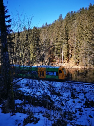 Waldbahn