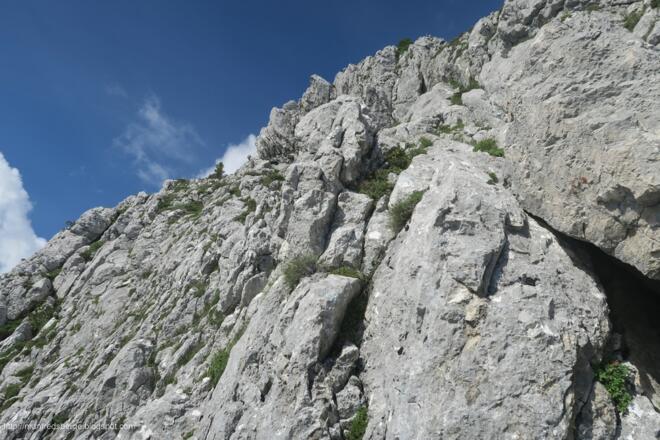 Um danach wieder zurückzukehren