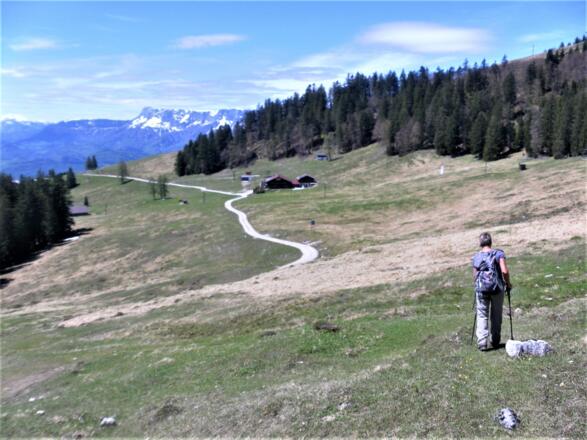 Abstieg zur Spielbergalm