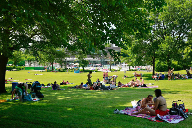 Liegewiese im Außenbereich.