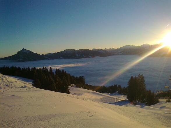 Grüntenblick
