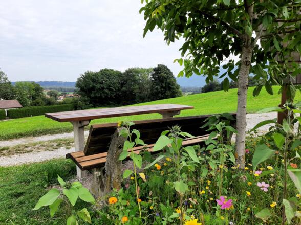 Picknickplatzl am Nussbankei