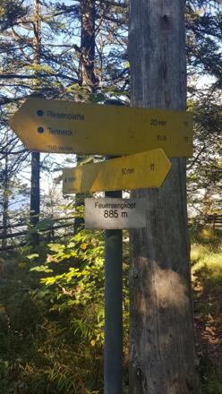 Feuersengkopf 885m