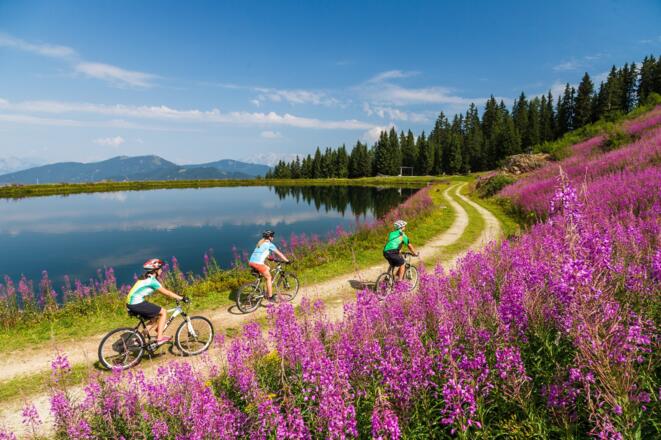 MTB Daarmoossee